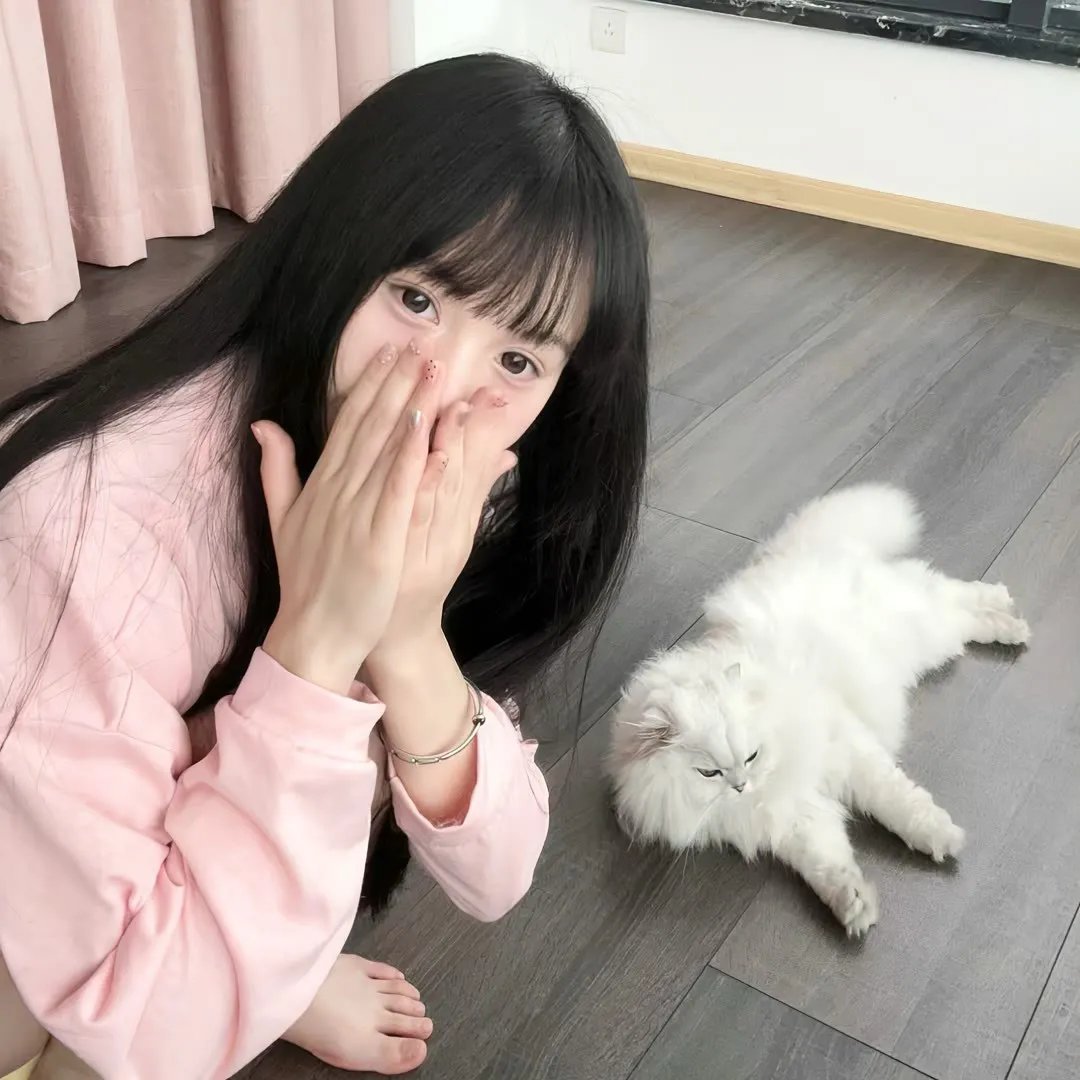 猪标一族