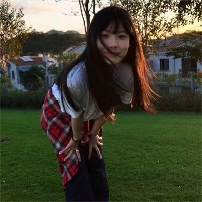 哈莉·奎茵第五季